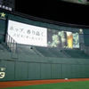 東京ドーム バックスクリーン